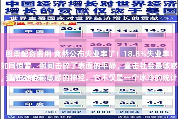 股票配资费用 竟然公布失业率了！18.8%失业率！

竟然公布失业率了！18.8%失业率！这一数字如同惊雷，瞬间击碎了表面的平静，直击社会最敏感的神经。它不仅是一个冰冷的统计