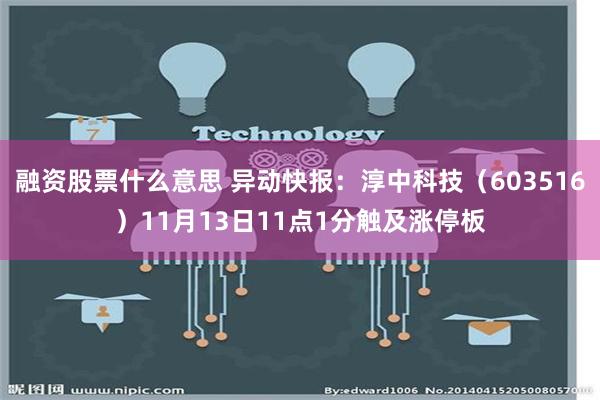 融资股票什么意思 异动快报：淳中科技（603516）11月13日11点1分触及涨停板