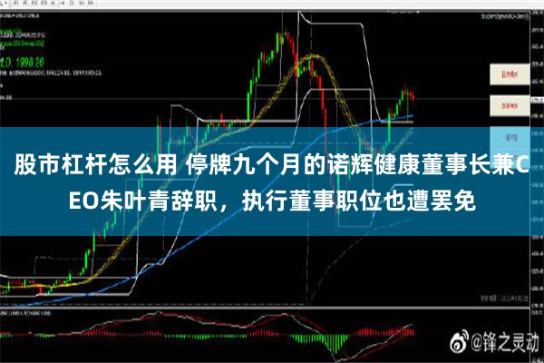 股市杠杆怎么用 停牌九个月的诺辉健康董事长兼CEO朱叶青辞职，执行董事职位也遭罢免