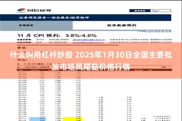 什么叫用杠杆炒股 2025年1月30日全国主要批发市场凤尾菇价格行情