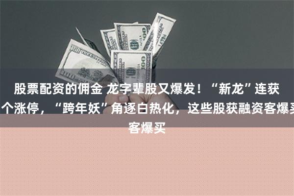 股票配资的佣金 龙字辈股又爆发！“新龙”连获3个涨停，“跨年妖”角逐白热化，这些股获融资客爆买